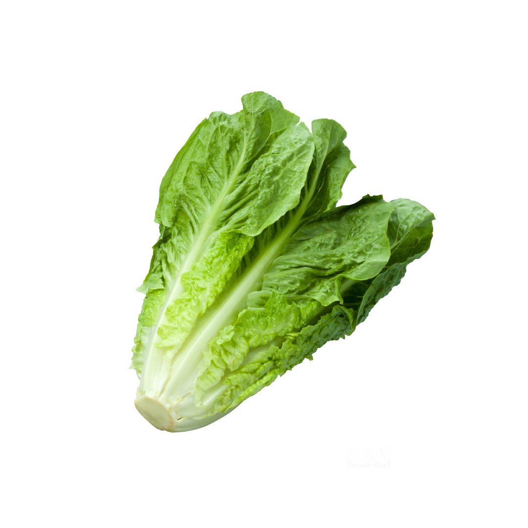 Salad Time Romaine Lettuce approx 500g